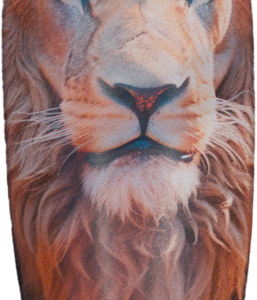 Personalised Shin Pad Lion Sportswear